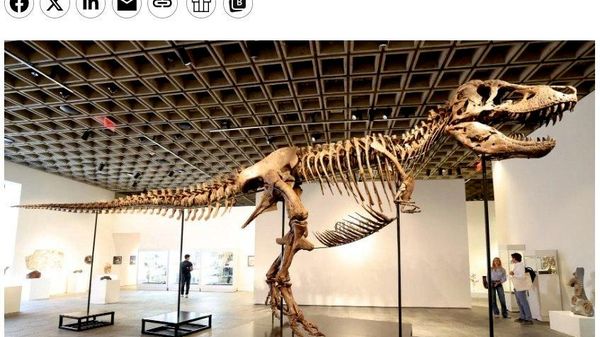 Bogații cumpără în masă rămășițe de dinozauri ca investiție, potrivit Bloomberg - Sputnik Moldova