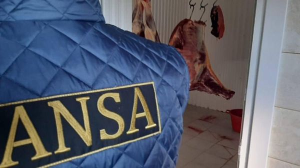 158 de animale fără acte, sacrificate - Sputnik Moldova