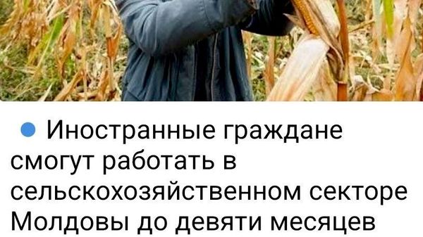 А потом они поедут обратно в Непал или Бангладеш? Они же вряд ли на билет заработают - Sputnik Молдова