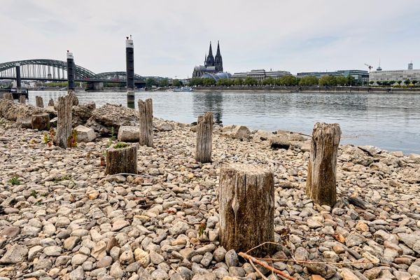 Остатки моста Паттона, построенного после Второй мировой войны, обнажились из-за исторически низкого уровня воды в реке Рейн на фоне волны жары и продолжительной засухи. На противоположном от Кёльнского собора берегу Рейна, Кёльн, Германия, понедельник, 3 августа 2026 года. (AP Photo/Martin Meissner) - Sputnik Молдова