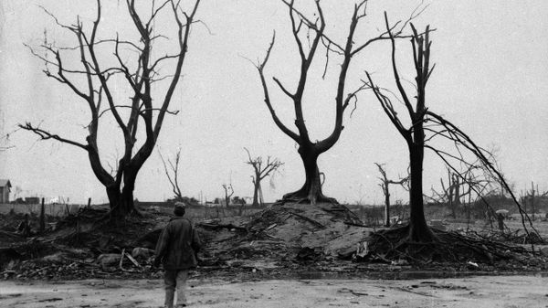 Scheletele copacilor, rămase în ruine după primul bombardament atomic din lume, Hiroshima, Japonia - Sputnik Moldova