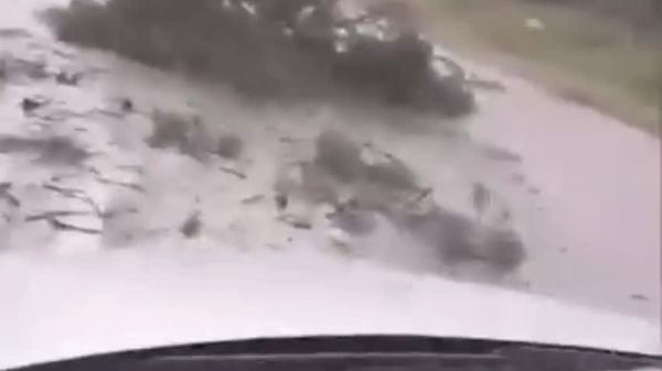 После мощного ливня на трассе М5 между Бельцами и Рышканами несколько участков завалило ветками и упавшими деревьями - Sputnik Молдова