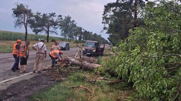 Drumarii au intervenit pentru înlăturarea crengilor și arborilor căzuți pe carosabil în urma ploilor puternice, pe drumurile naționale M5, în apropierea localității Recea, și R12, în raionul Drochia - Sputnik Moldova