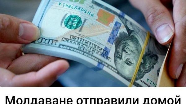 Ну как, скажите, для таких стабильных прямых инвесторов не устраивать дни на родине? С песнями, плясками, плациндами и походом с президенткой в лес? - Sputnik Молдова