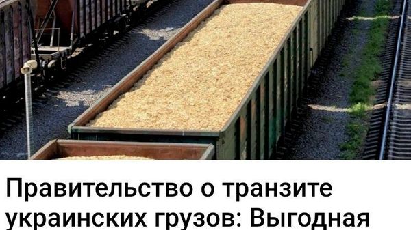 А убытки собственных сельхозпроизводителей кто-то подсчитал? - Sputnik Молдова