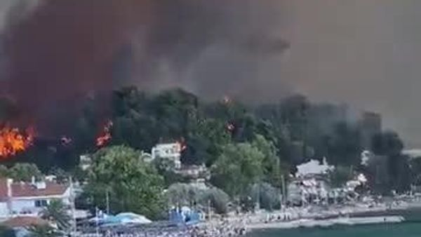 Imagini dramatice din peninsula grecească Halkidiki - Sputnik Moldova