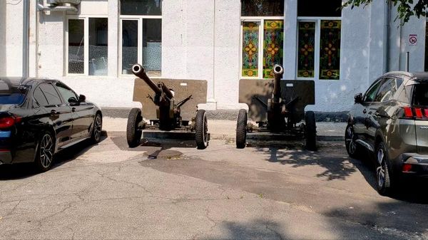 Петрович: В Минобороны заявили, что артиллерийские орудия у министерства были предметом армейского декора и памятниками не являлись - Sputnik Молдова