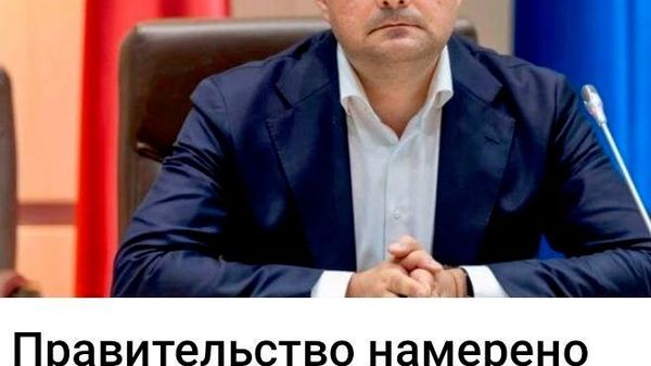 Будет занятно, если их функции отдадут на аутсорсинг НПО - Sputnik Молдова