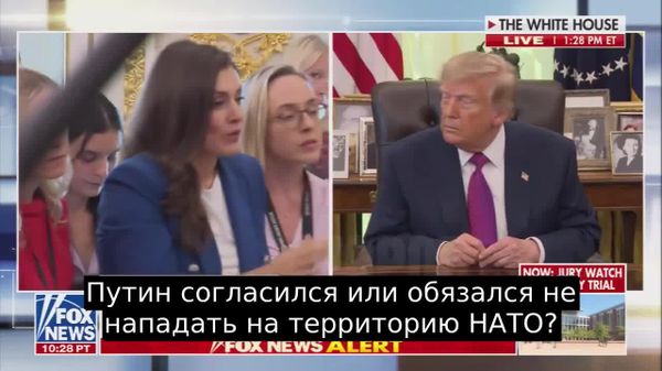 Путин не собирается нападать на территорию НАТО, — Трамп - Sputnik Молдова
