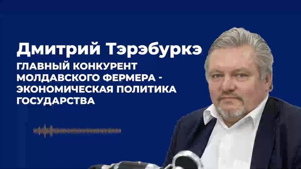 Tăbârcea: Dacă premierul încetează să se gândească la prețuri, acestea încep să crească de la sine - Sputnik Moldova