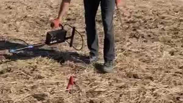 Astăzi, în cadrul lucrărilor de căutare desfășurate pe capul de pod Șerpeni, au fost descoperite mai multe obiecte explozive din perioada Marelui Război pentru Apărarea Patriei - Sputnik Moldova