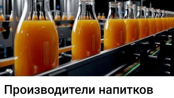 Мелочи по сравнению с евромечтой - Sputnik Молдова