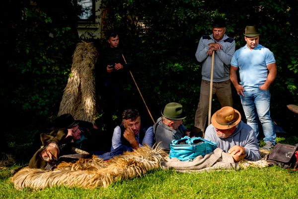 Пастухи отдыхают во время протеста фермеров в Бухаресте во вторник, 15 сентября 2026 года. (AP Photo/Vadim Ghirda) - Sputnik Молдова