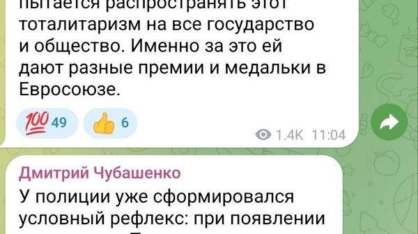 Петрович: когда-то Дмитрий Алексеевич Чубашенко писал, что у Пограничной полиции уже выработался рефлекс, как у собаки Павлова - при появлении Петровича задержать его в аэропорту - Sputnik Молдова