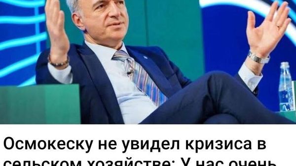 Когда на собственном огороде помидоры уродились - Sputnik Молдова