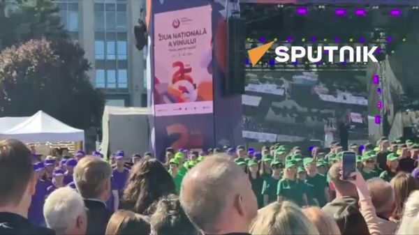Record Guinness la Ziua Națională a Vinului: Peste 400 de oameni au format cea mai mare imagine umană a unei vițe-de-vie - Sputnik Moldova