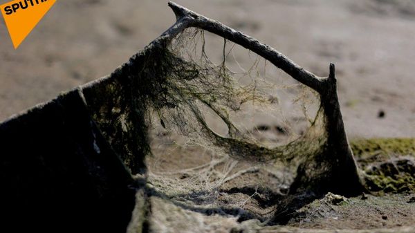 Alte imagini de la fundul Nistrului secat - Sputnik Moldova