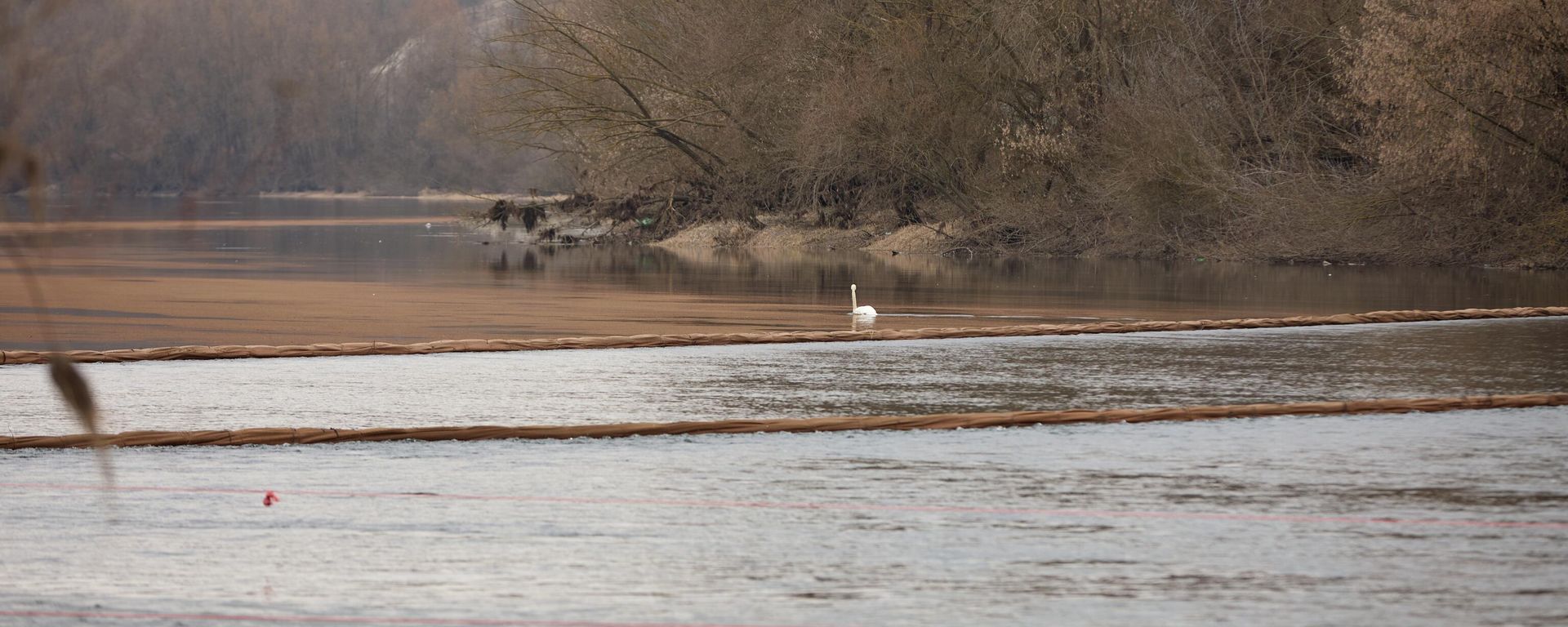 Работы по установлению заграждения для фильтрации воды на реке Днестр в селе Унгурь  - Sputnik Moldova, 1920, 15.10.2026
