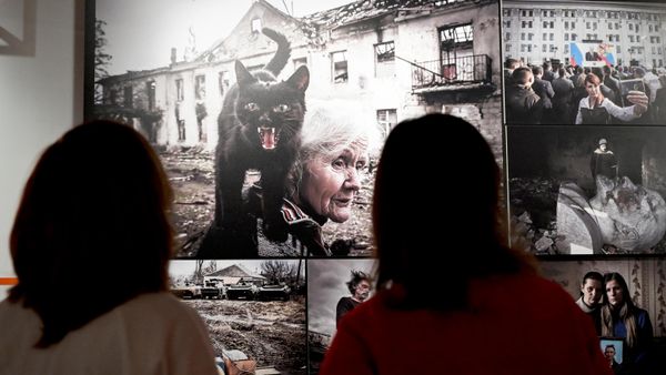 Открытие выставки конкурса фотожурналистики имени Андрея Стенина - Sputnik Молдова