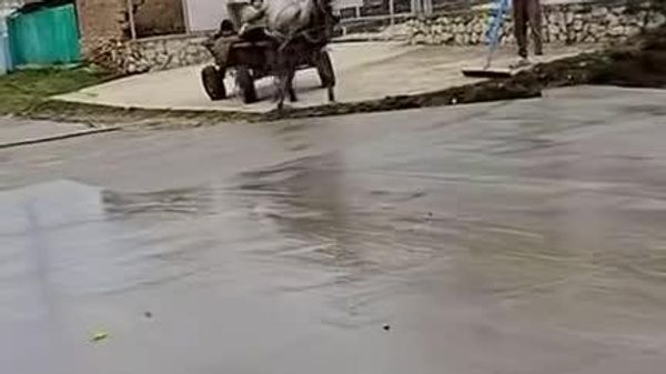 Imagini de la Cărpineni, acolo unde Primăria și drumarii fac drum nou din beton - Sputnik Moldova