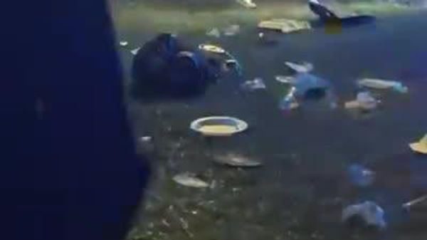 12 человек получили ранения, включая 6 детей в результате стрельбы во Флоридском Университете A&M в Таллахасси - Sputnik Молдова