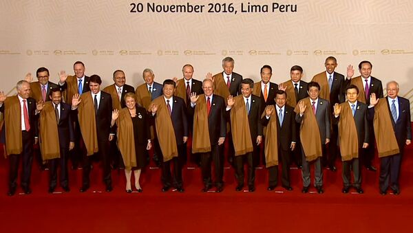 Лидеры стран АТЭС сфотографировались в перуанских накидках. Кадры церемонии - Sputnik Молдова
