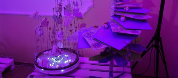 Зимняя сказка: создать лучшую рождественскую ель и оплатить учебу - Sputnik Молдова