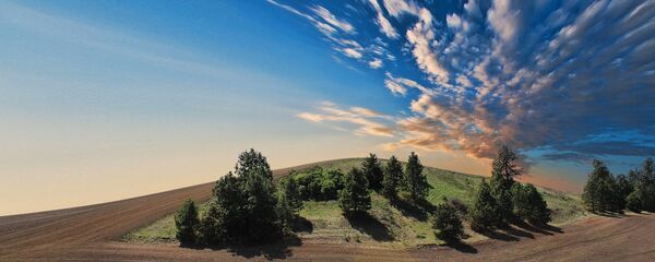 Teren agricol Teren agricol - Sputnik Moldova
