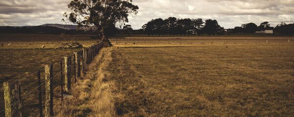 Teren agricol Teren agricol - Sputnik Moldova
