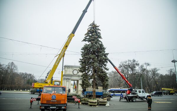 установка праздничной елки в центре города - Sputnik Молдова