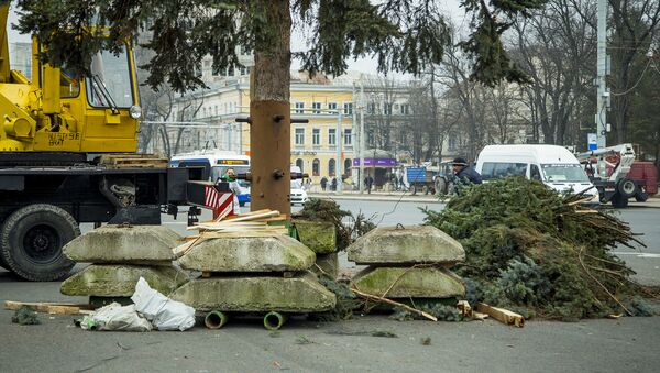установка праздничной елки в центре города  - Sputnik Moldova