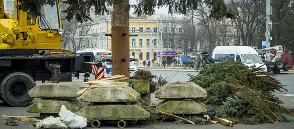 установка праздничной елки в центре города  - Sputnik Moldova