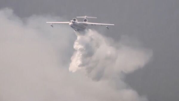 Тушение пожаров в Израиле: самолеты МЧС РФ борются со стихией в районе Хайфы - Sputnik Moldova-România