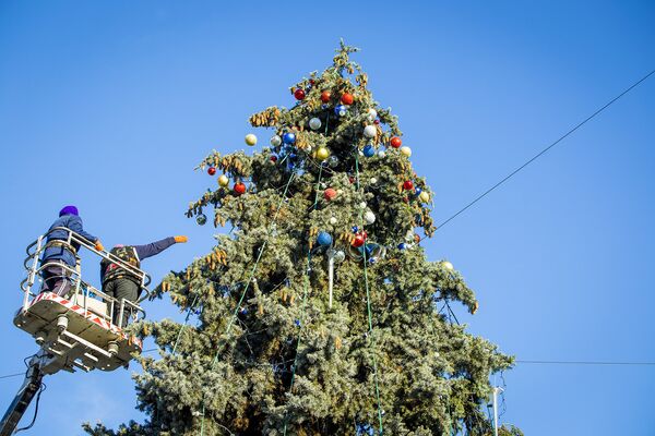 Установка праздничной елки в центре города - Sputnik Молдова