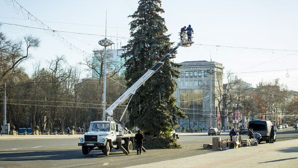 установка праздничной елки в центре города - Sputnik Moldova-România