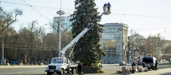установка праздничной елки в центре города - Sputnik Moldova-România