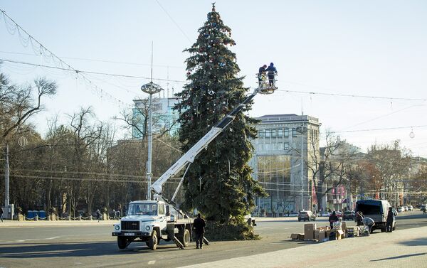 установка праздничной елки в центре города - Sputnik Молдова