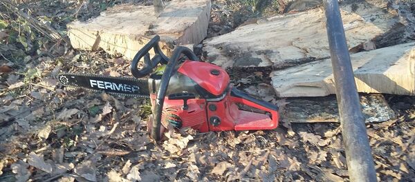 Вырубка деревьев в Страшенах. - Sputnik Молдова