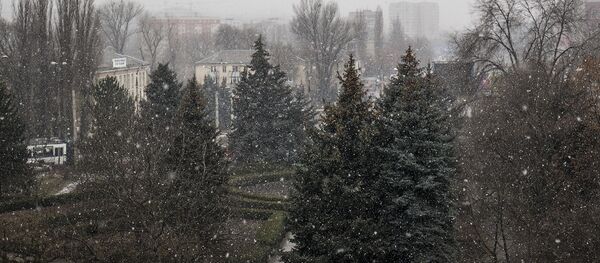 Ninsoare Ninsoare - Sputnik Молдова