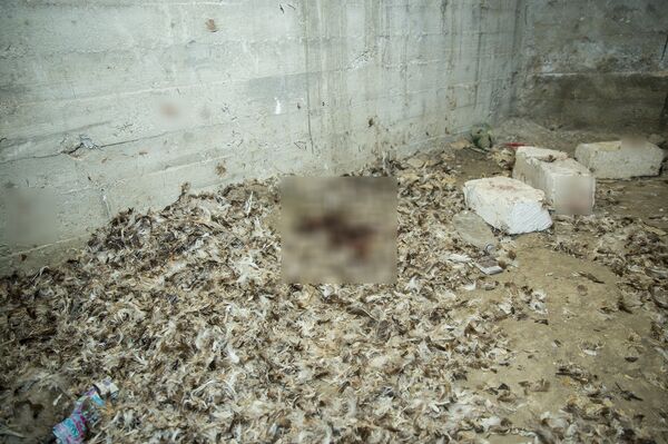 Locul unde a fost omorâtă Cristina Parhomenco - Sputnik Moldova