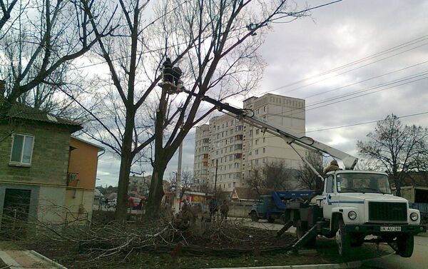 Вырубка деревьев в Страшенах - Sputnik Молдова