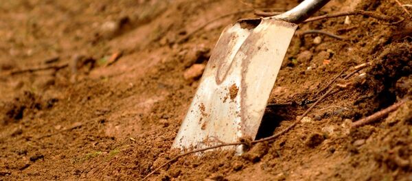 Лопата в земле. Архивное фото - Sputnik Moldova