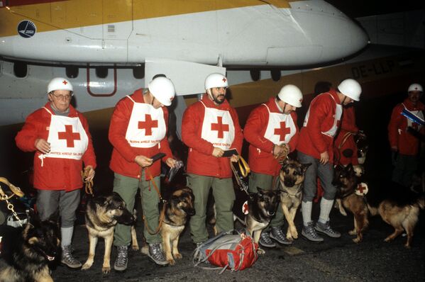 Спасатели из Австрии в аэропорту - Sputnik Молдова