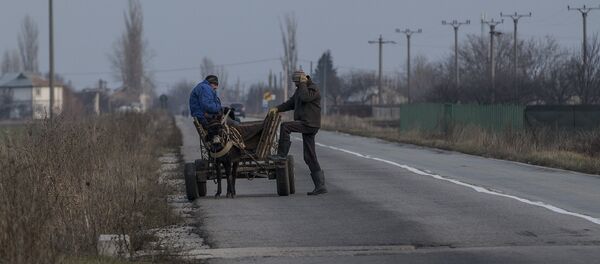 Каруца, запряженная ослом.  - Sputnik Молдова