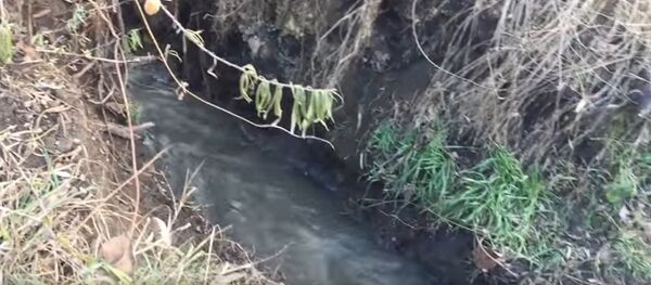 Râul Ișnovăț Râul Ișnovăț - Sputnik Moldova