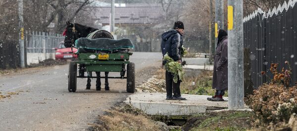 Localnici din Ghimpați - Sputnik Moldova-România