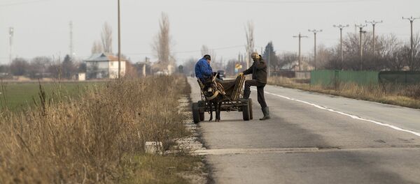 Căruță pe Șoseaua Alexandriei - Sputnik Moldova