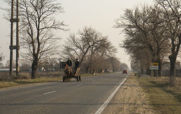 Традиционный способ передвижения в сельской Румынии. - Sputnik Молдова