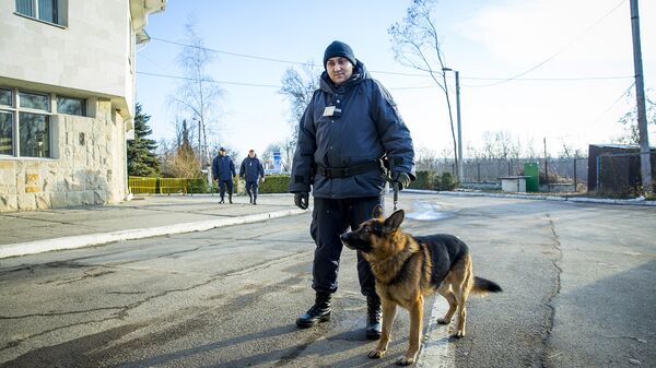 Пограничная полиция - Sputnik Moldova-România