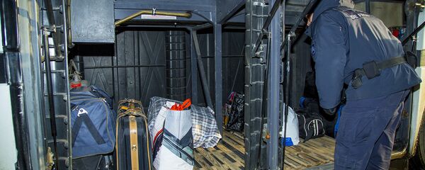 Проверка багажа - Sputnik Moldova-România